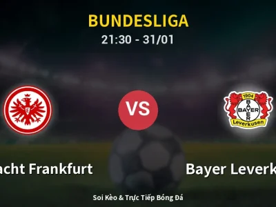 🔴 Trực Tiếp: Eintracht Frankfurt 0-0 Bayer Leverkusen – Link Xem Bundesliga (Full HD)