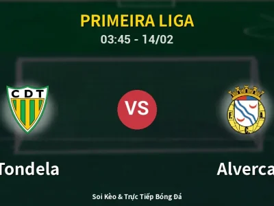 Kết Quả: Tondela 1-1 Alverca – Highlight & Bàn Thắng | Primeira Liga