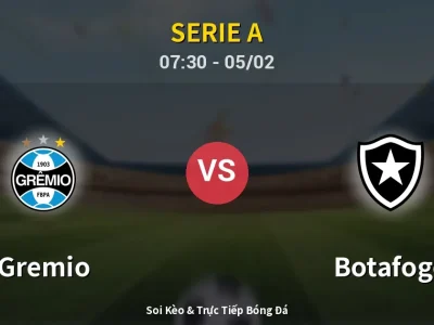 Kết Quả: Gremio 5-3 Botafogo – Highlight & Bàn Thắng | Serie A