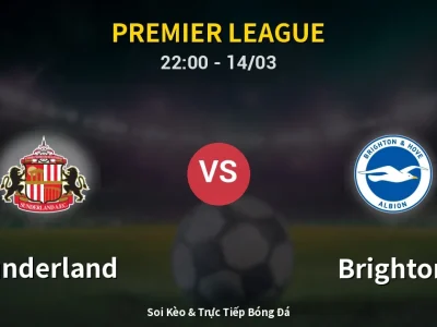 🔴 Trực Tiếp: Sunderland 0-0 Brighton – Link Xem Premier League (Full HD)