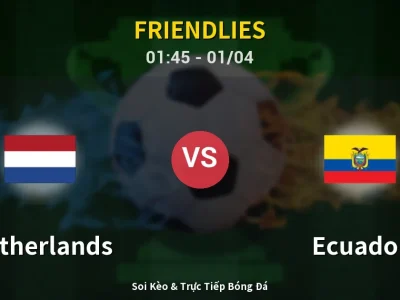 Kết Quả: Netherlands 1-1 Ecuador – Highlight & Bàn Thắng | Friendlies